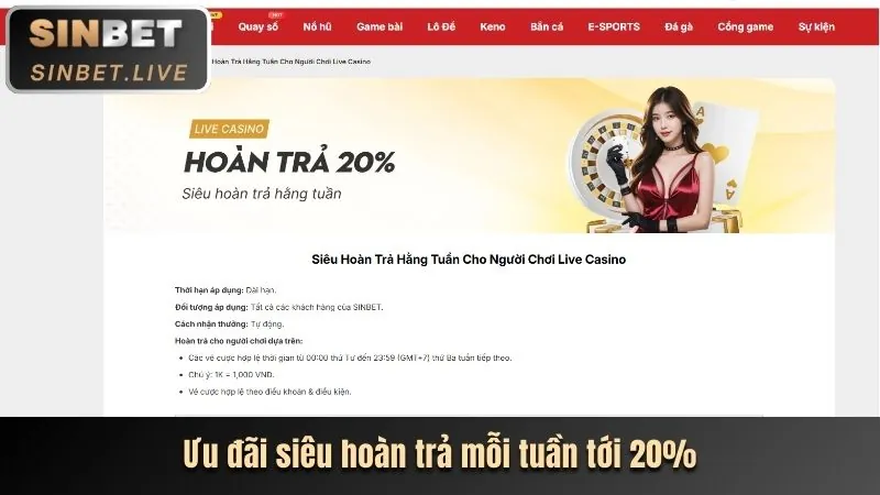 Cá cược tennis VNBET